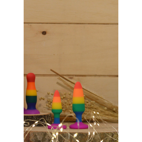 Plug anal multicouleur taille S 
